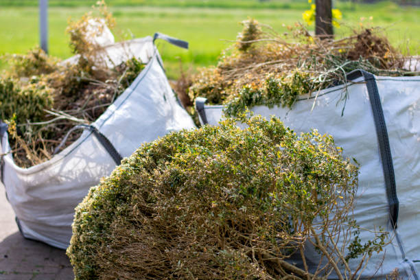 Professional Junk Removal Services in Clayton, GA